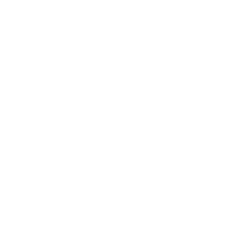 Illini Electric Motorsports